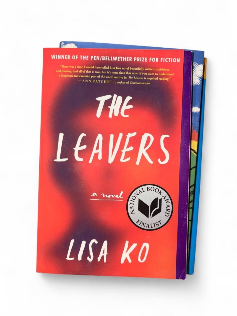 book / the leavers